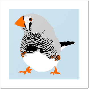 Zebra Finch Posters and Art